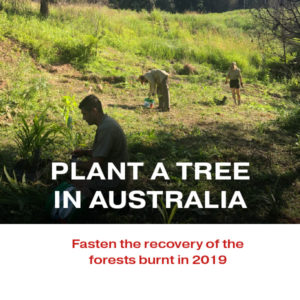 Plant a tree in Australia with your Peer Review Credits
