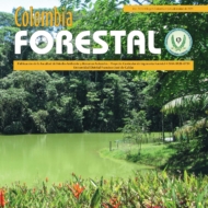 Colombia Forestal