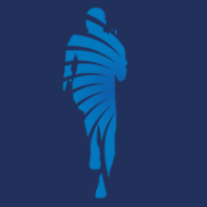 Turkish Journal of Sports Medicine