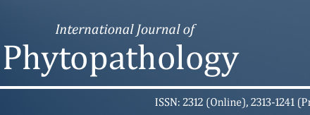 international-journal-of-3