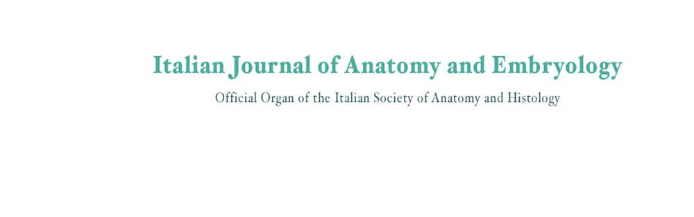 italian-journal-of-anato