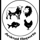 Animal reports