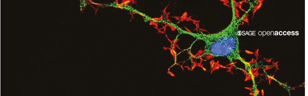 neurosci-insights