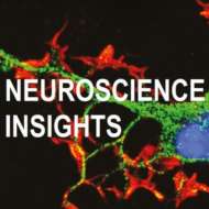Neuroscience Insights