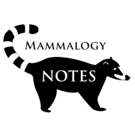 Mammalogy Notes