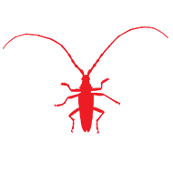 Evolutionary Systematics